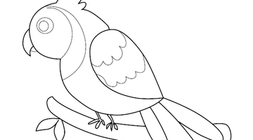 Parrot Colouring Image | Free Colouring Book for Children