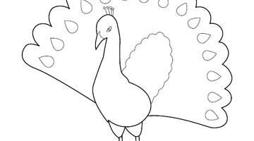 Peacock Colouring Picture | Free Colouring Book for Children