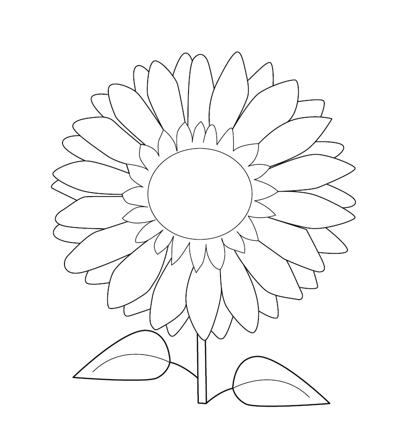 Sunflower Colouring Picture Free Colouring Book for Children Monkey