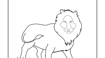 Lion Colouring Page | Free Colouring Book for Children