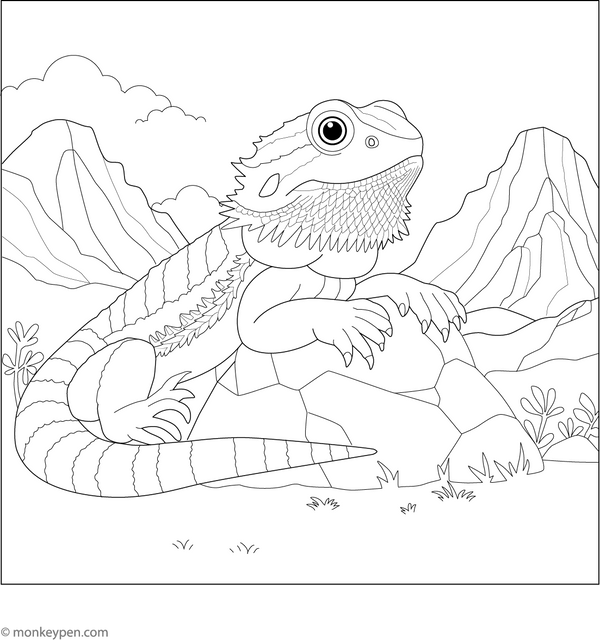 Bearded Dragon Relaxing on Rock Coloring Page