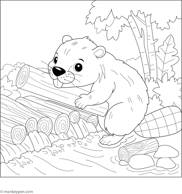Beaver Building a Dam Coloring Page