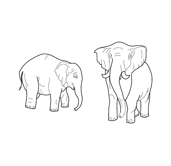Elephant Coloring Sheet