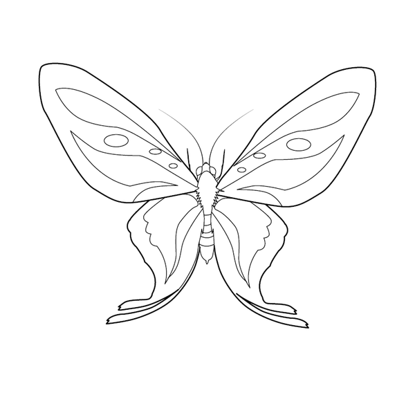 Butterfly coloring page – fun and educational printable for children