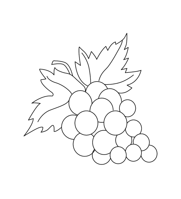 Grapes Colouring Book
