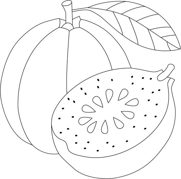 Guava coloring page – fun and educational printable for children