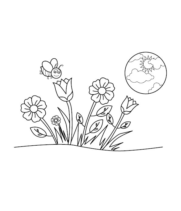 Garden Coloring Picture