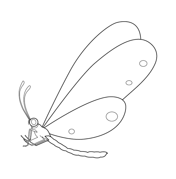 Butterfly coloring page – fun and educational printable for children