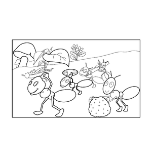 Ant Coloring Illustration
