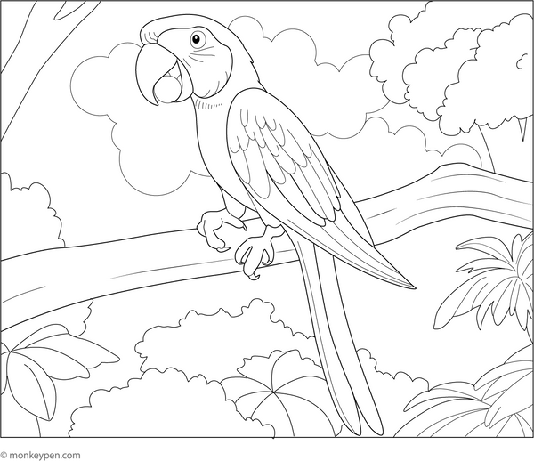 Macaw Eating a Fruit Coloring Page – tropical bird printable for children