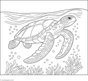 Hawksbill Turtle Coloring Page  – fun and educational printable for children