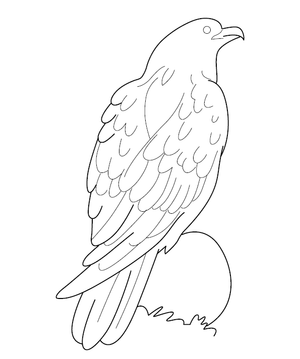 Eagle Coloring Page