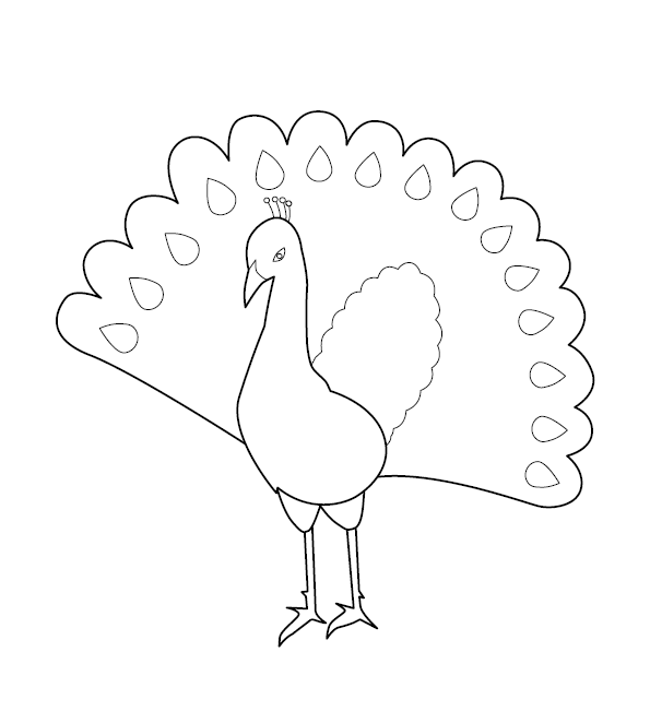 Peacock Coloring Sheet