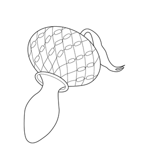 Maracas Shekere Coloring page – fun and educational printable for children