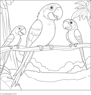 Macaw Family Coloring Page – tropical bird printable for children