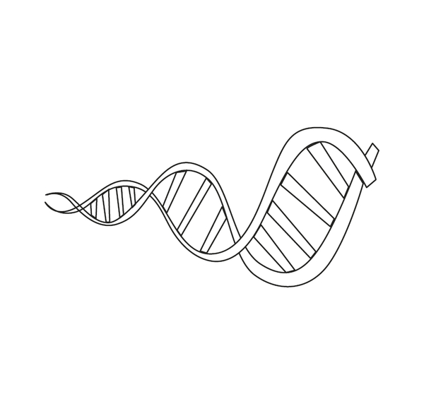 Dna Structure  coloring page – fun and educational printable for children