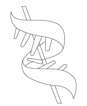 Dna Structure  coloring page – fun and educational printable for children