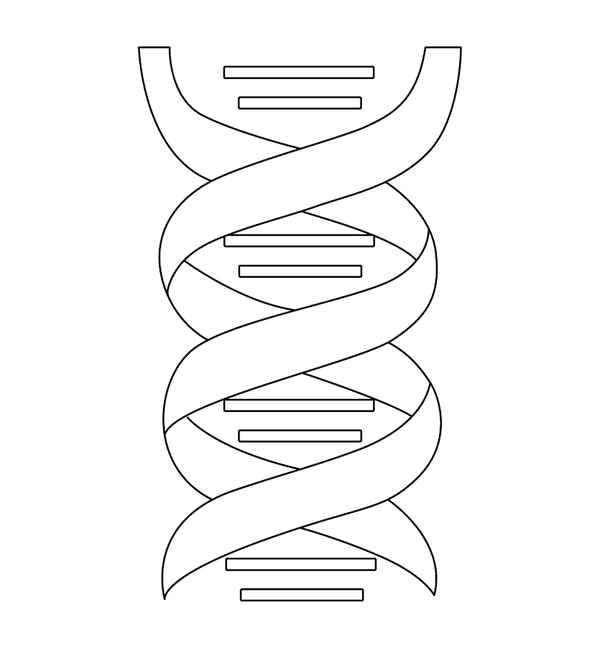 Dna Structure coloring page – fun and educational printable for children