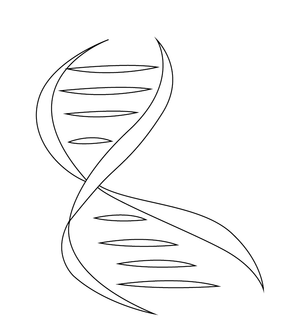 Dna Structure  coloring page – fun and educational printable for children