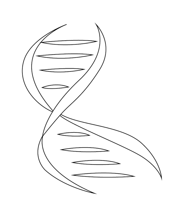Dna Structure coloring page – fun and educational printable for children