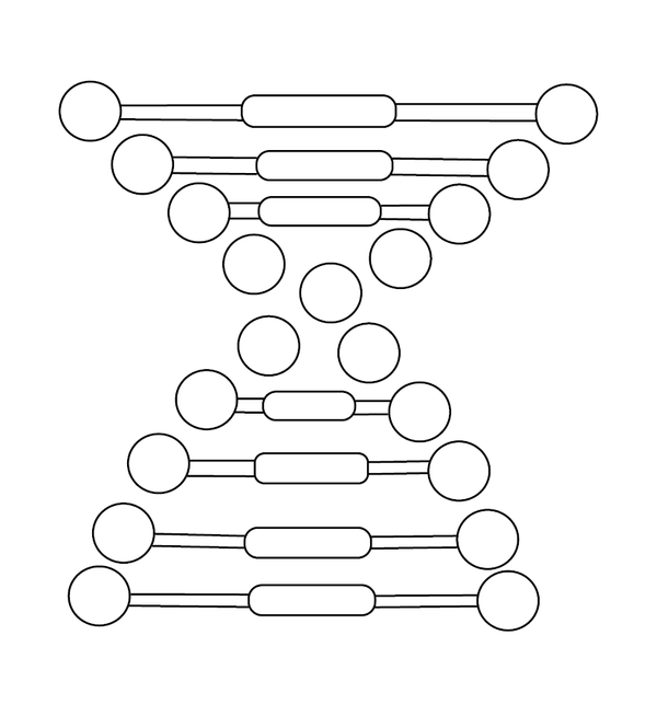 Dna Structure coloring page – fun and educational printable for children