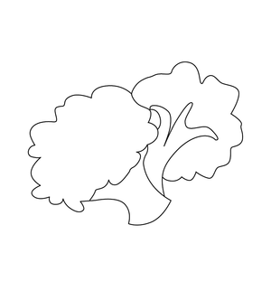Broccoli Coloring page – fun and educational printable for children