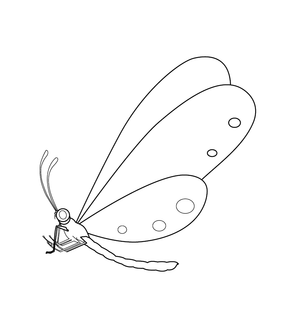Dragonfly Coloring page – fun and educational printable for children
