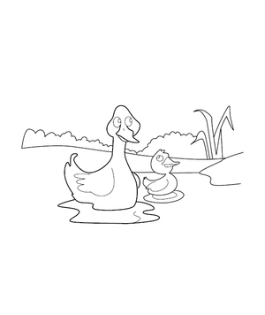 Duck Coloring Page