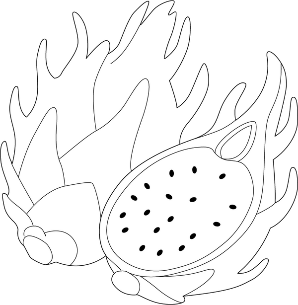 Dragon Fruit coloring page – fun and educational printable for children