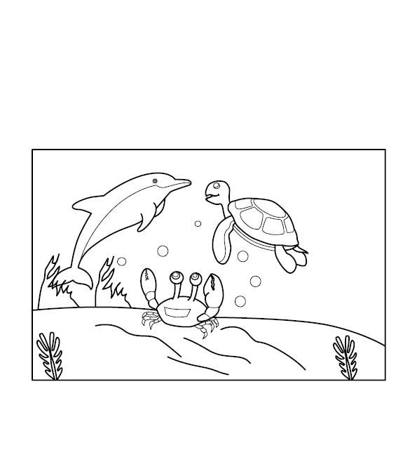 Aquatic Animals Coloring Picture