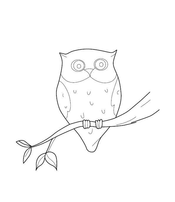 Owl Coloring Picture