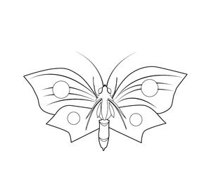 Butterfly coloring page – fun and educational printable for children