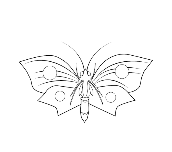 Butterfly coloring page – fun and educational printable for children