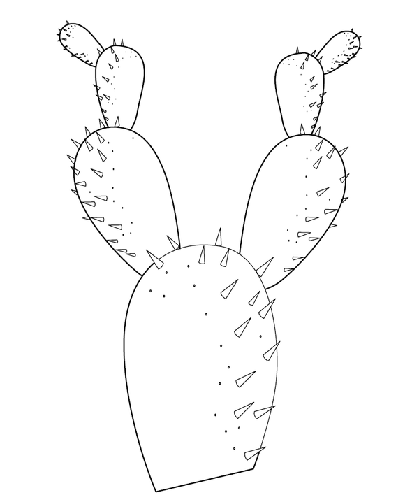 Cactus Coloring Page  – fun and educational printable for children