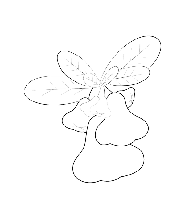 Rose Apple Coloring page – fun and educational printable for children