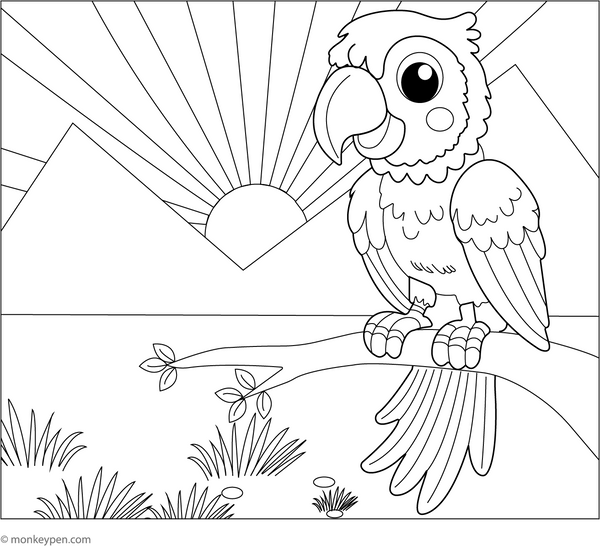 Printable Macaw Coloring Book