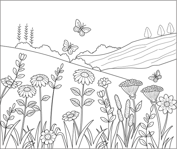 Wildflowers And Meadows coloring page – fun and educational printable for children