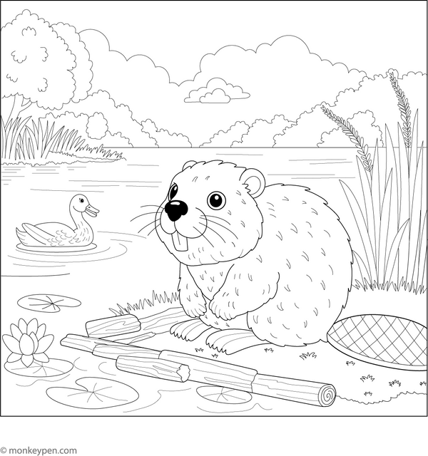 Beaver by the Lake Coloring Page