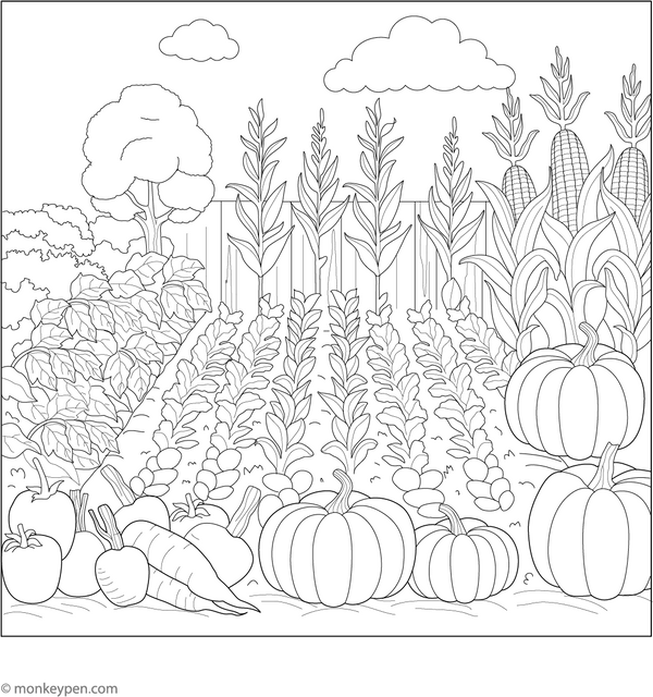 Vegetable Garden Coloring Page
