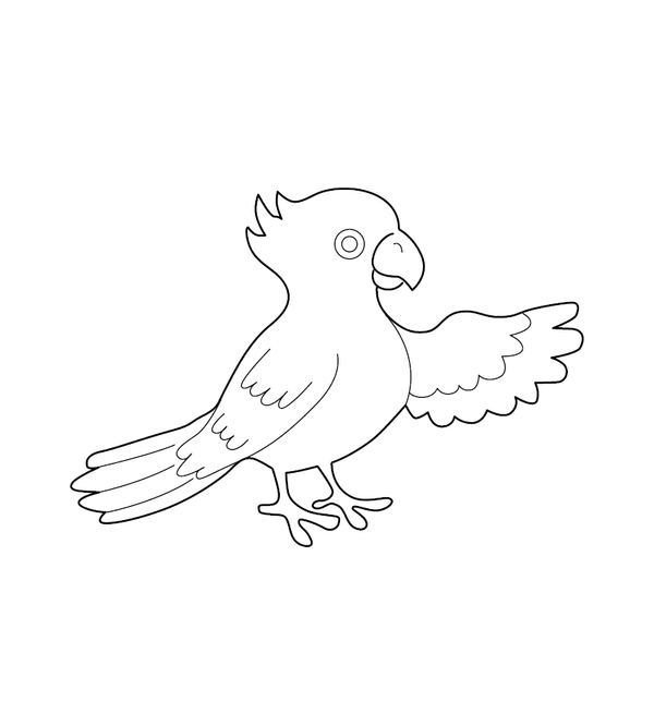 Parrot Coloring page – tropical bird printable for children