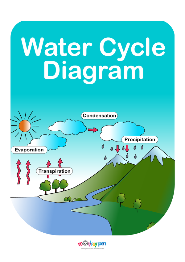 Educational printable water cycle chart with labeled stages of evaporation, condensation, precipitation, and collection to support student understanding.