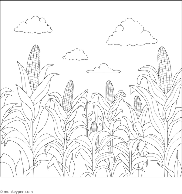 Cornfield Coloring Page