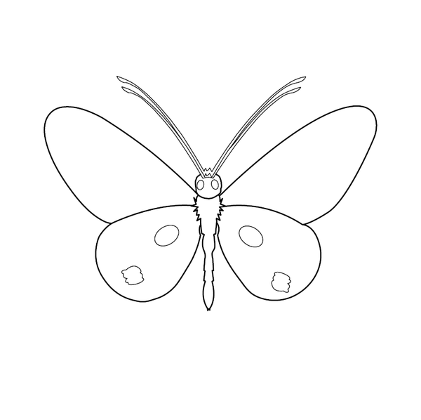 Butterfly coloring page – fun and educational printable for children