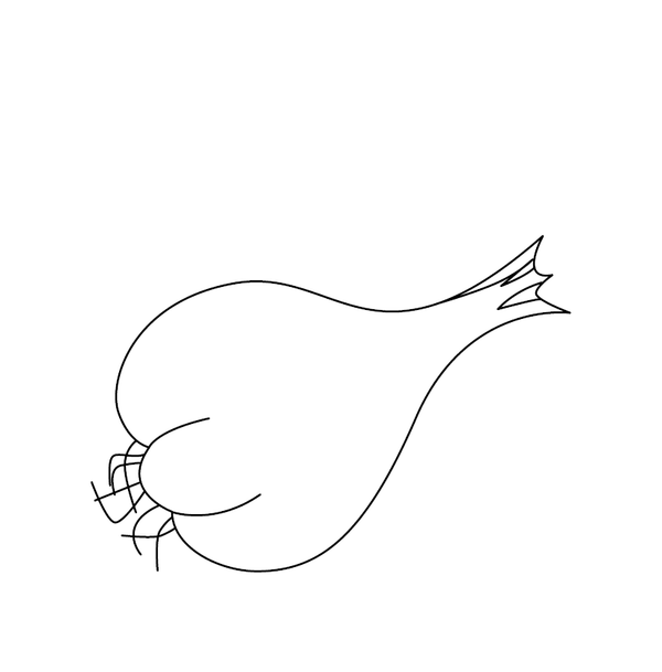 Onion coloring page – fun and educational printable for children