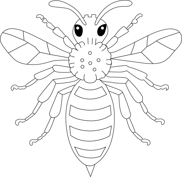 Wasp Coloring Page – fun and educational printable for children