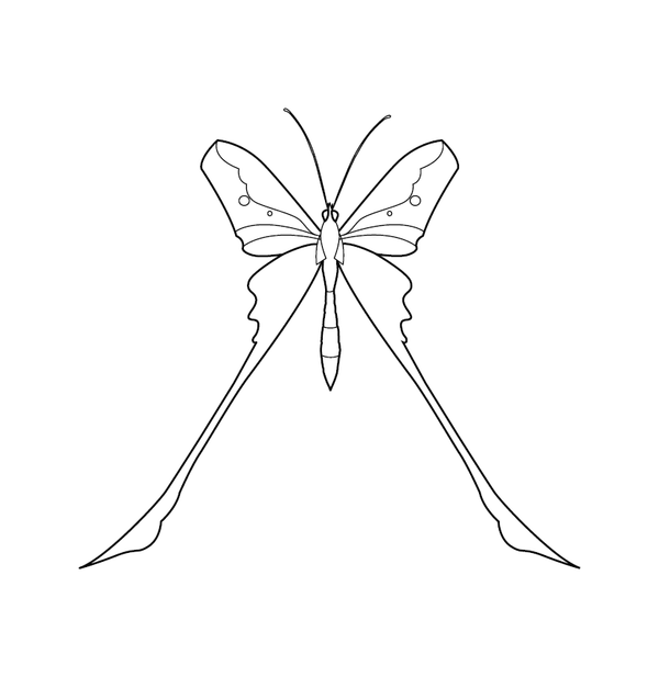 Butterfly coloring page – fun and educational printable for children