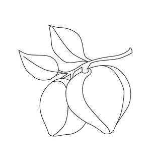 Plum  coloring page – fun and educational printable for children