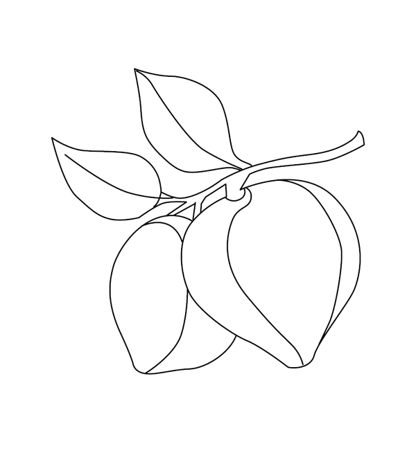 Plum coloring page – fun and educational printable for children