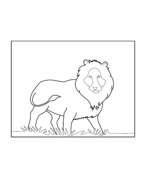 Lion Coloring Picture