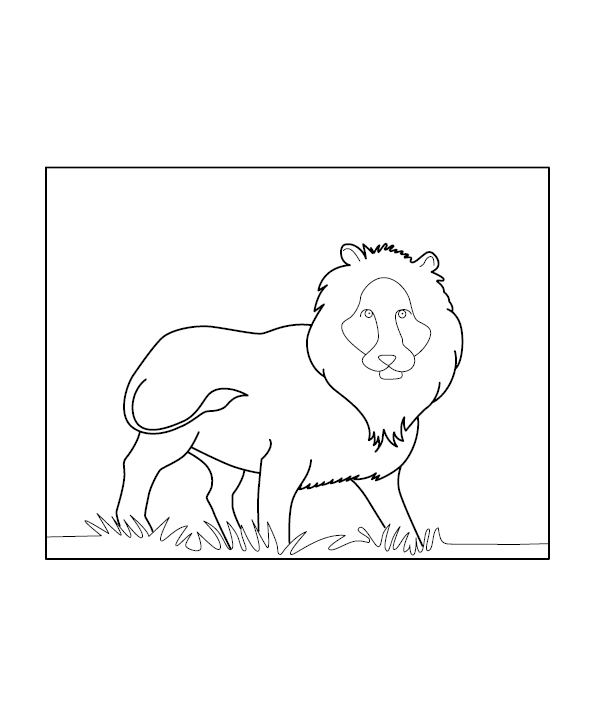 Lion Coloring Picture